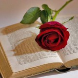 Imatge de complement