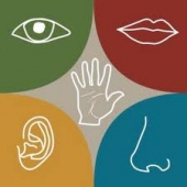 Imatge de complement