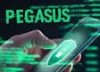 Pegasus
