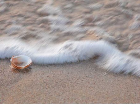 Imatge de complement